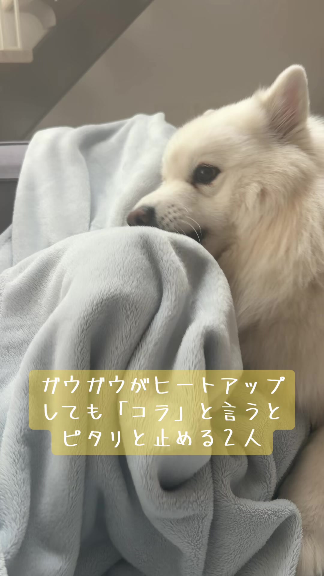 @とろふわ