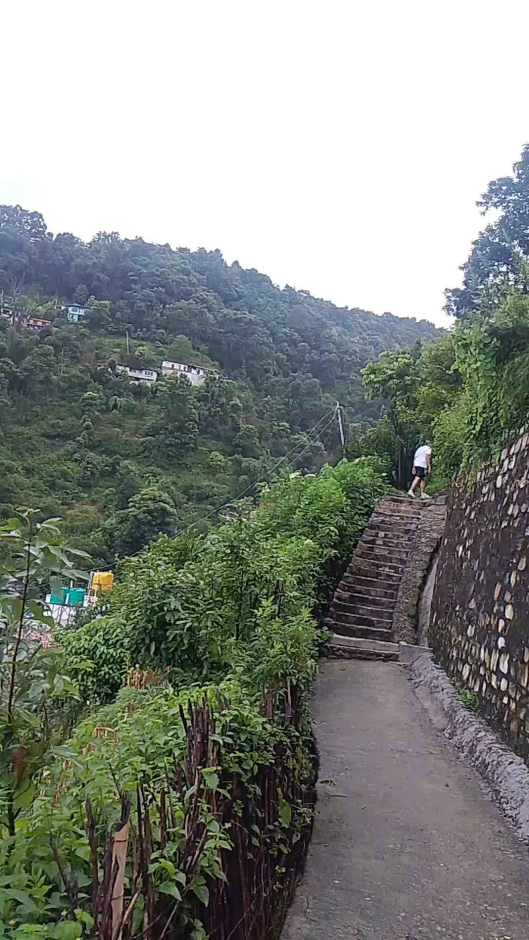 @rupakkshetri