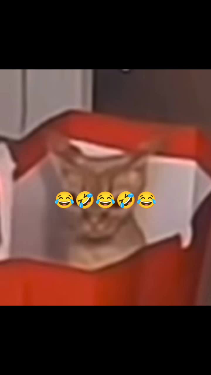 @larataxd