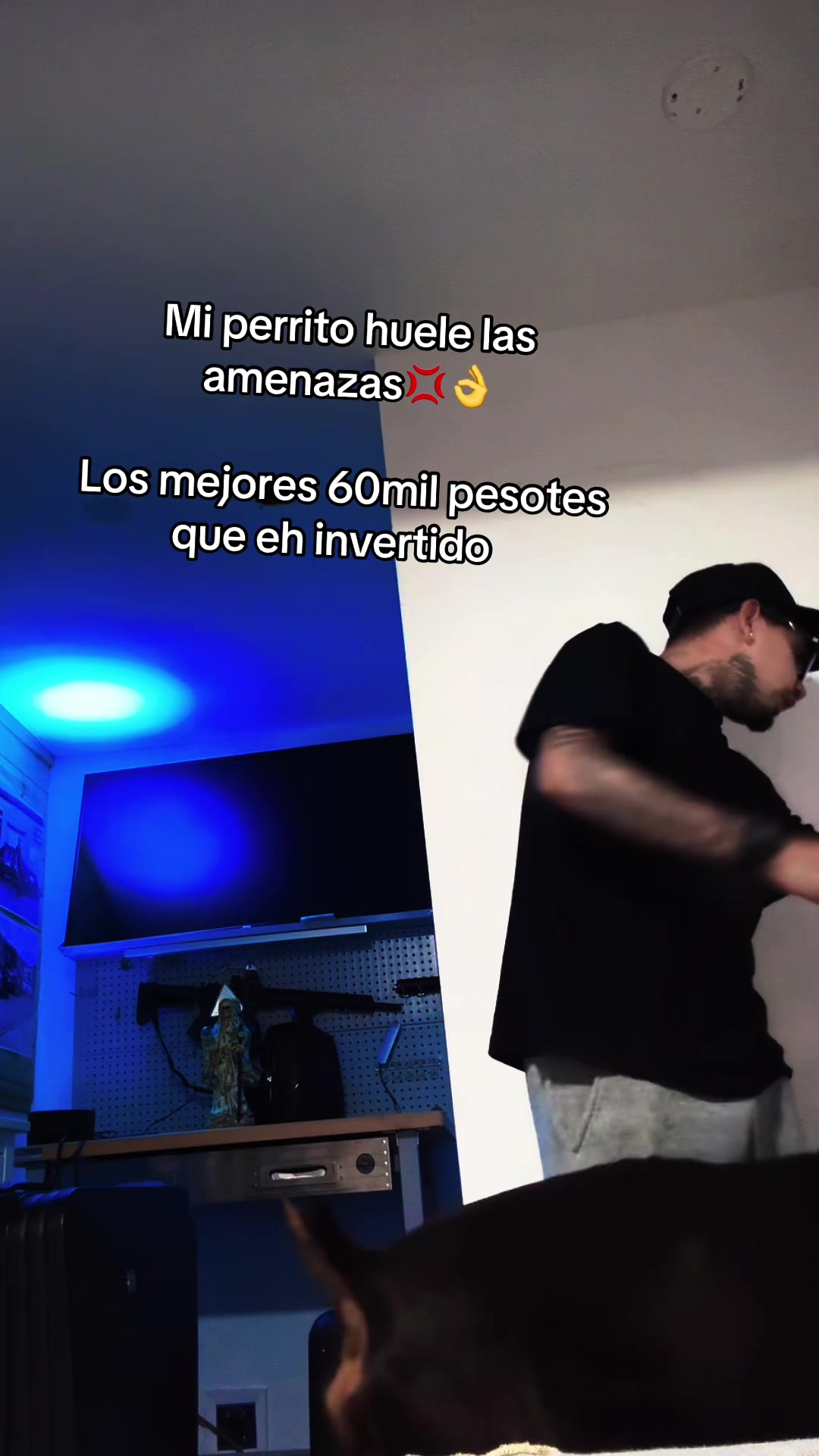 @MEMORRAS🕷️