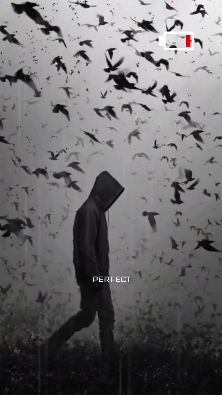 @PERFECTツ