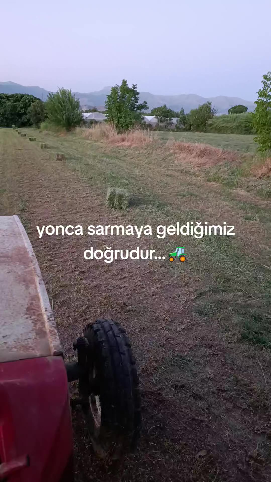 @Uğur Yaramaz(Çınar market🏪)