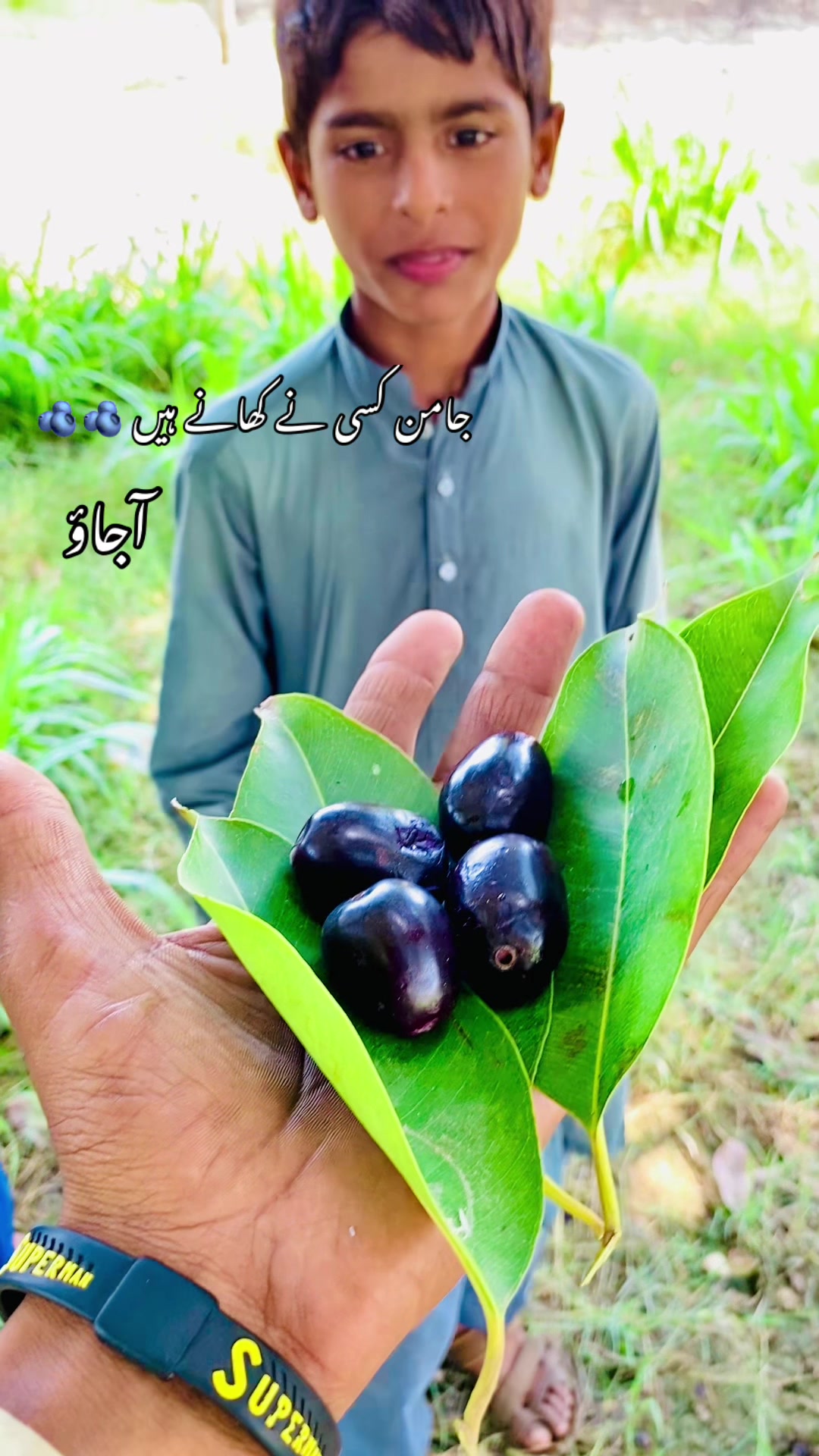 @🍂🌾 پنجابی کلچر 🌾🍂