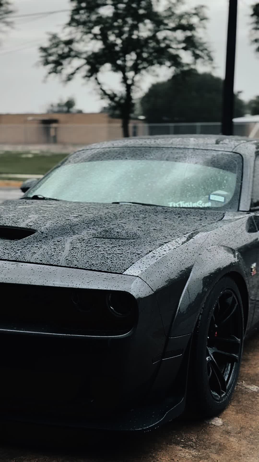 @ItsJustAScat_392