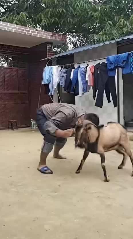 @Funny