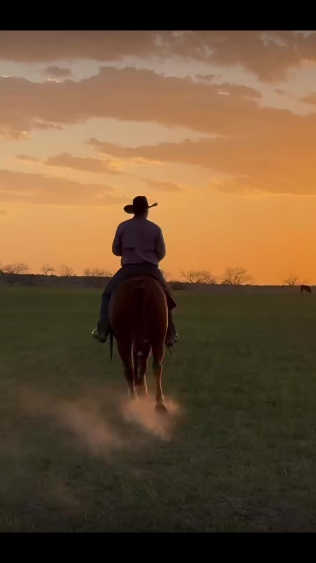 @Texas
