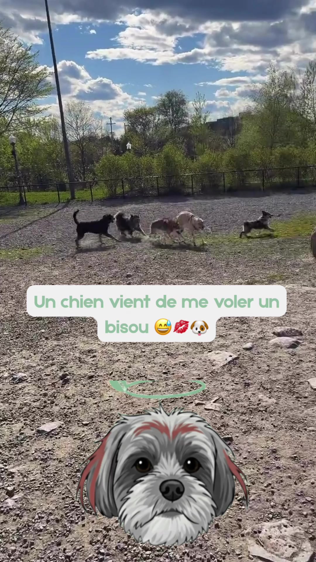 @BelitaPets