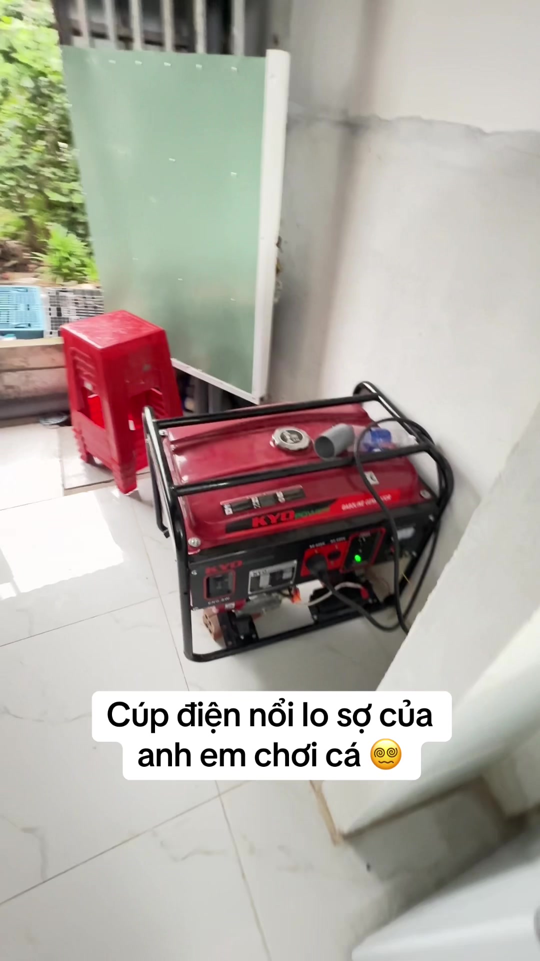 @Phát Đạt Bán Cá 😎🐠🦈