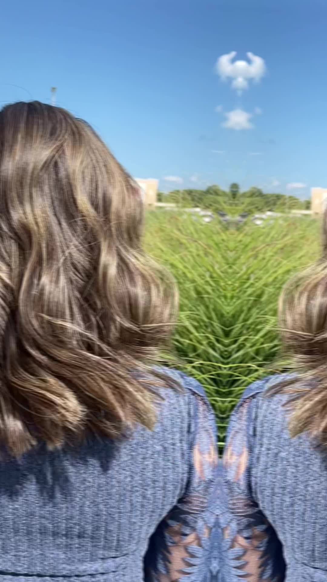 @bloomsofcolor