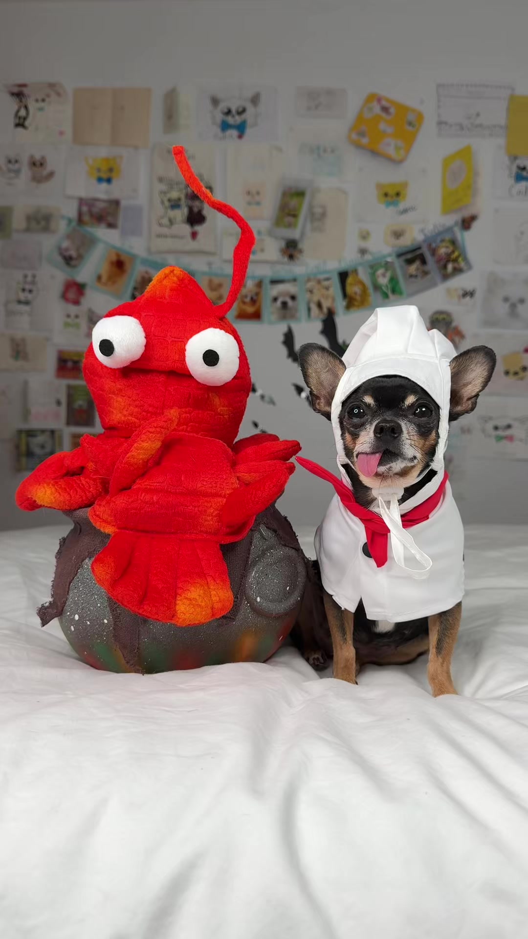 @Tiny Chihuahua Cedric & Maya
