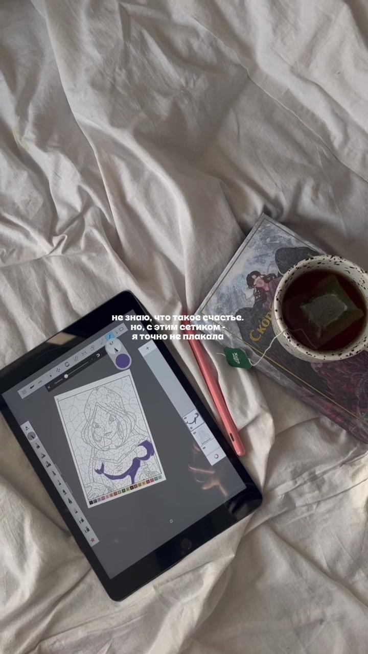 @༘⋆ the pixie diaries ྀི