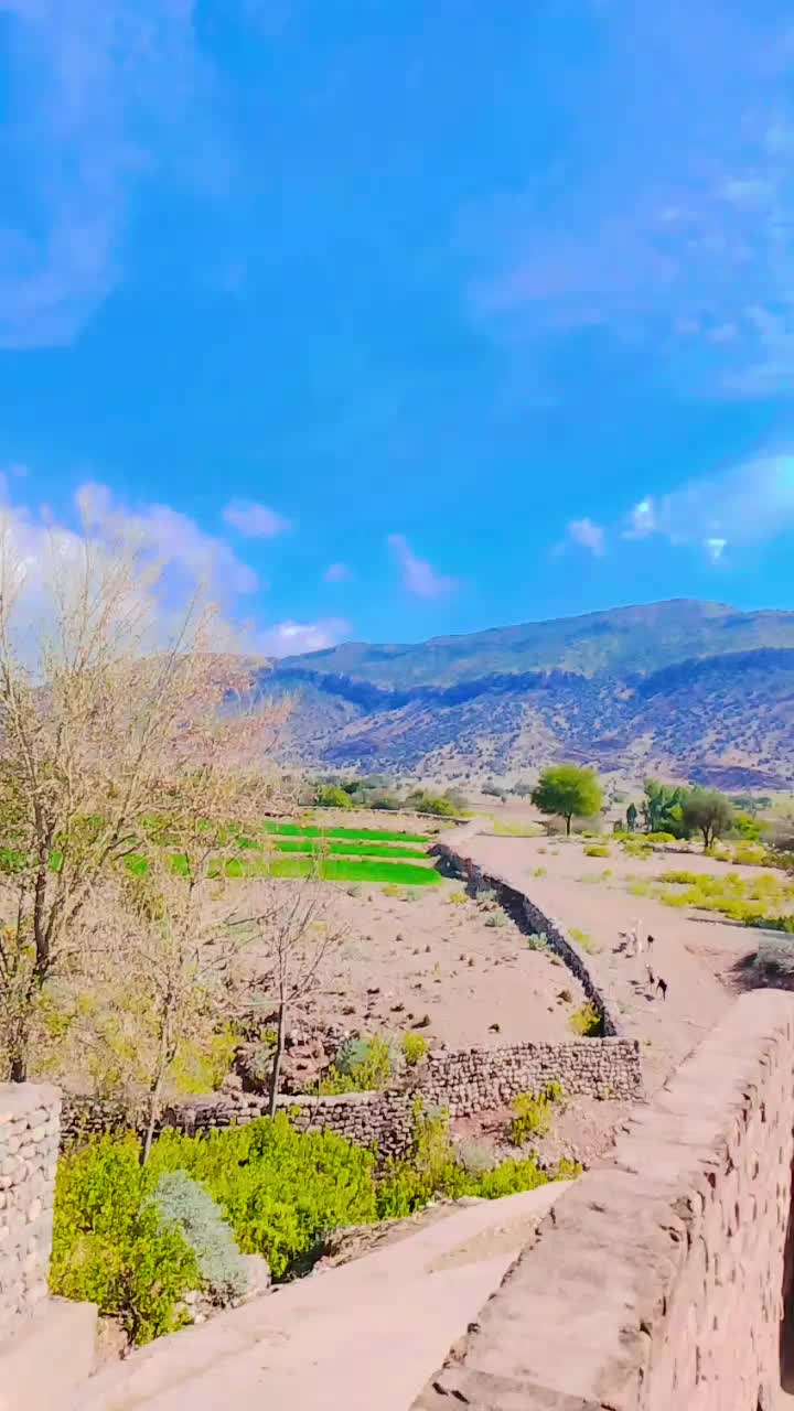 @Faizan _khan 368