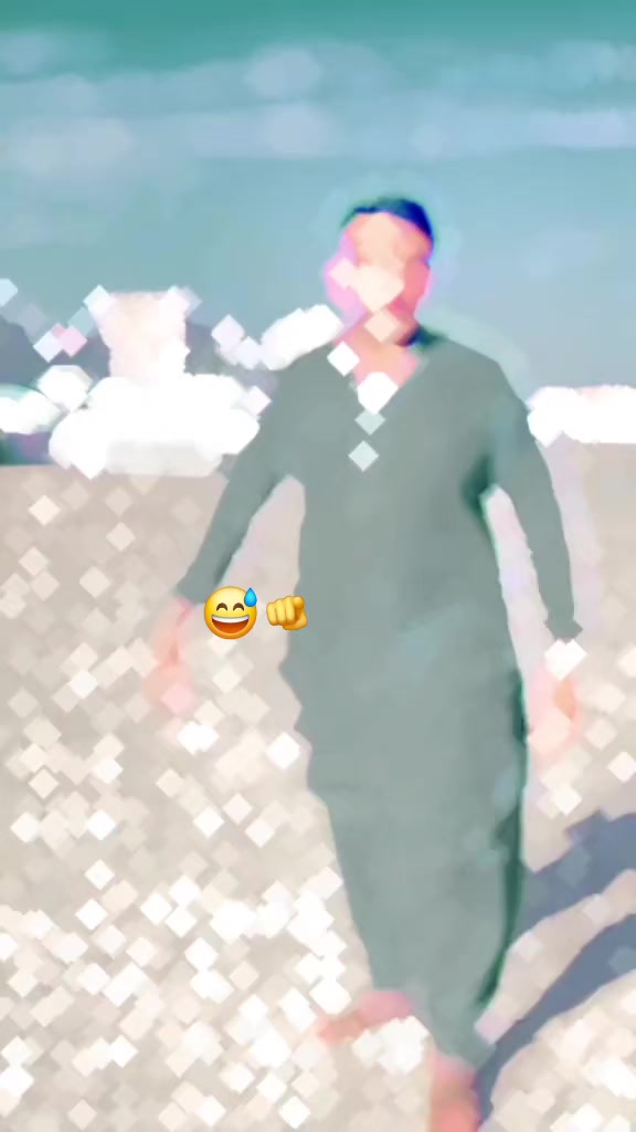 @King___Gull