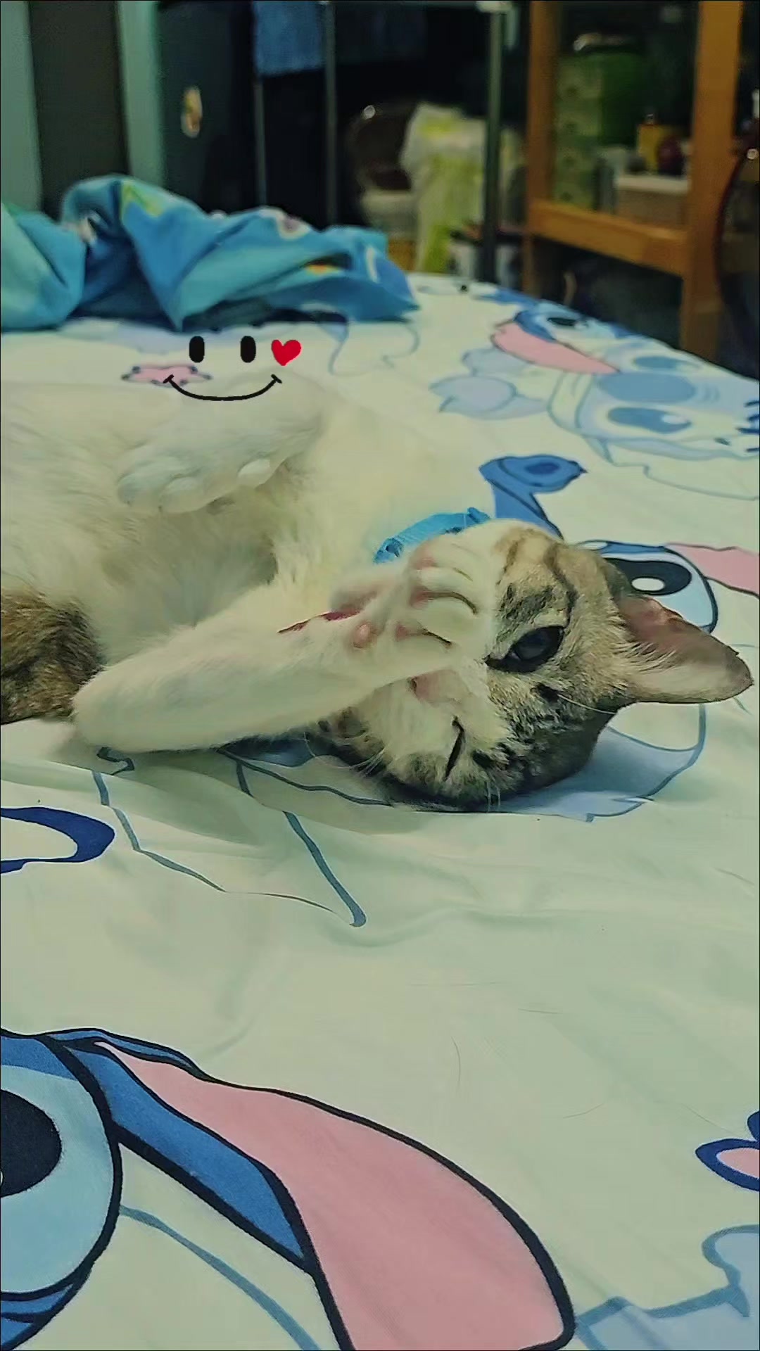 @FongChan