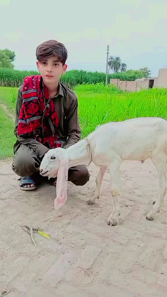 @Saim Raza bk
