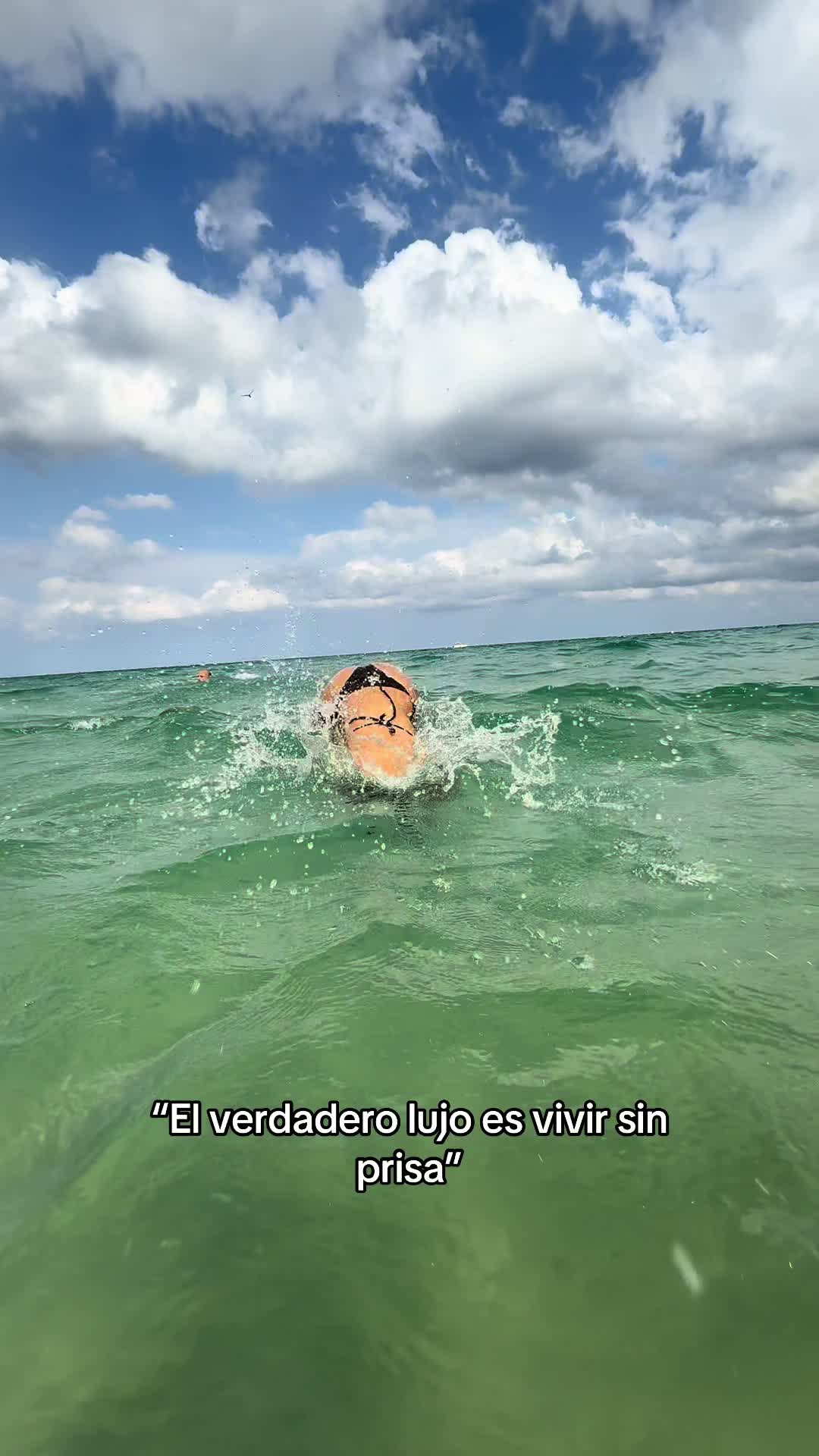 @Luciana Baranauskas