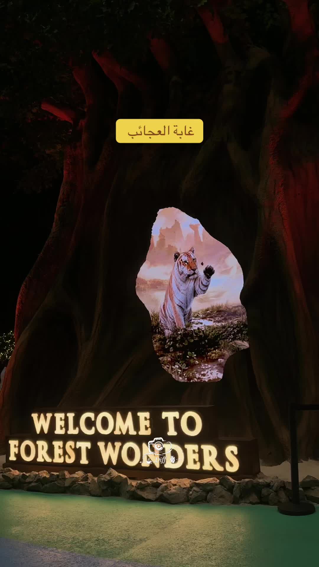 @๐พโ๐ข๐๐ข๐๐ธโ๏ธ