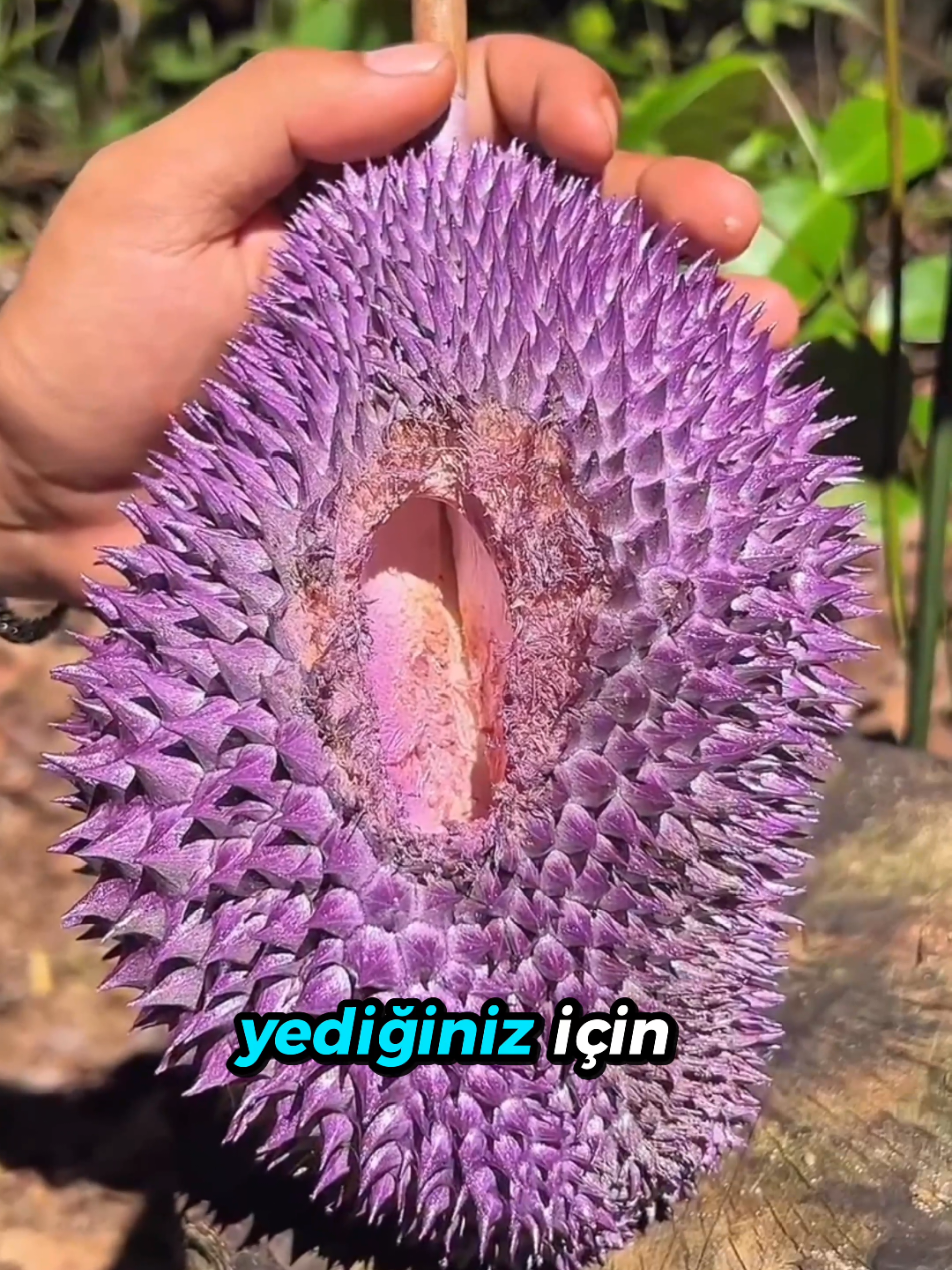 @beynegrafya