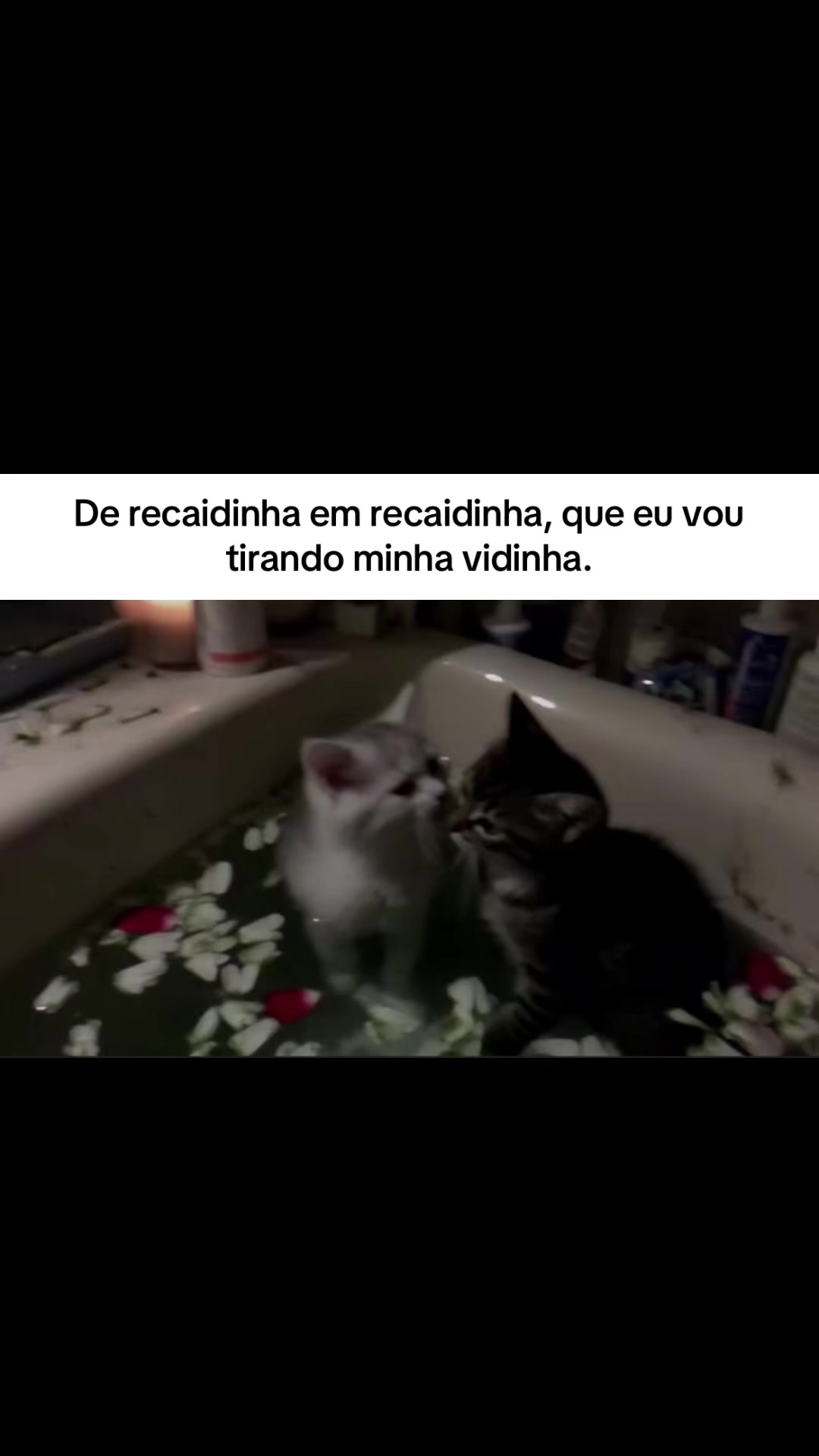 @ℓυᴄคร ᯓ★⁶⁷⁶⁷