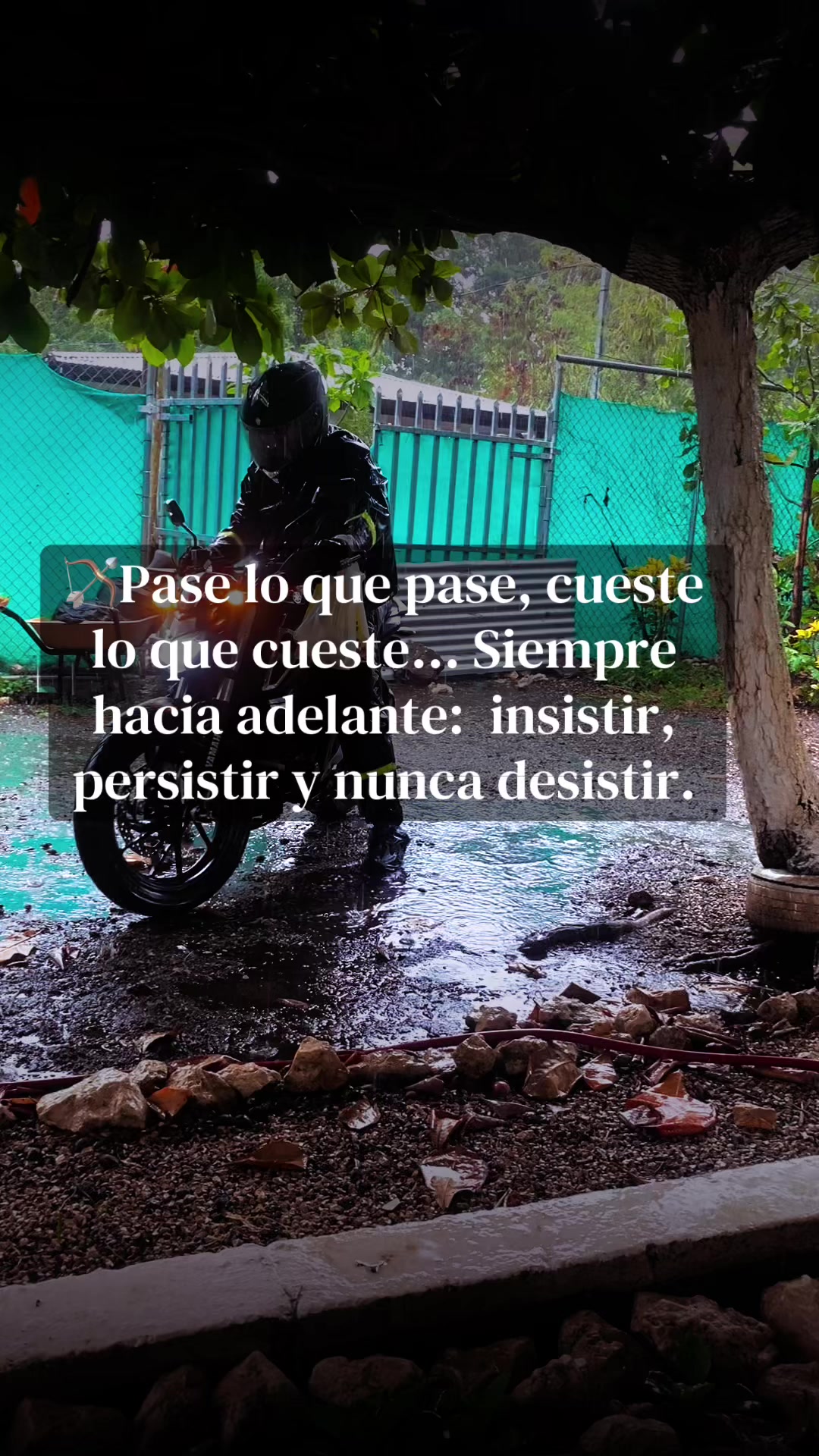 @Güeñita🦋