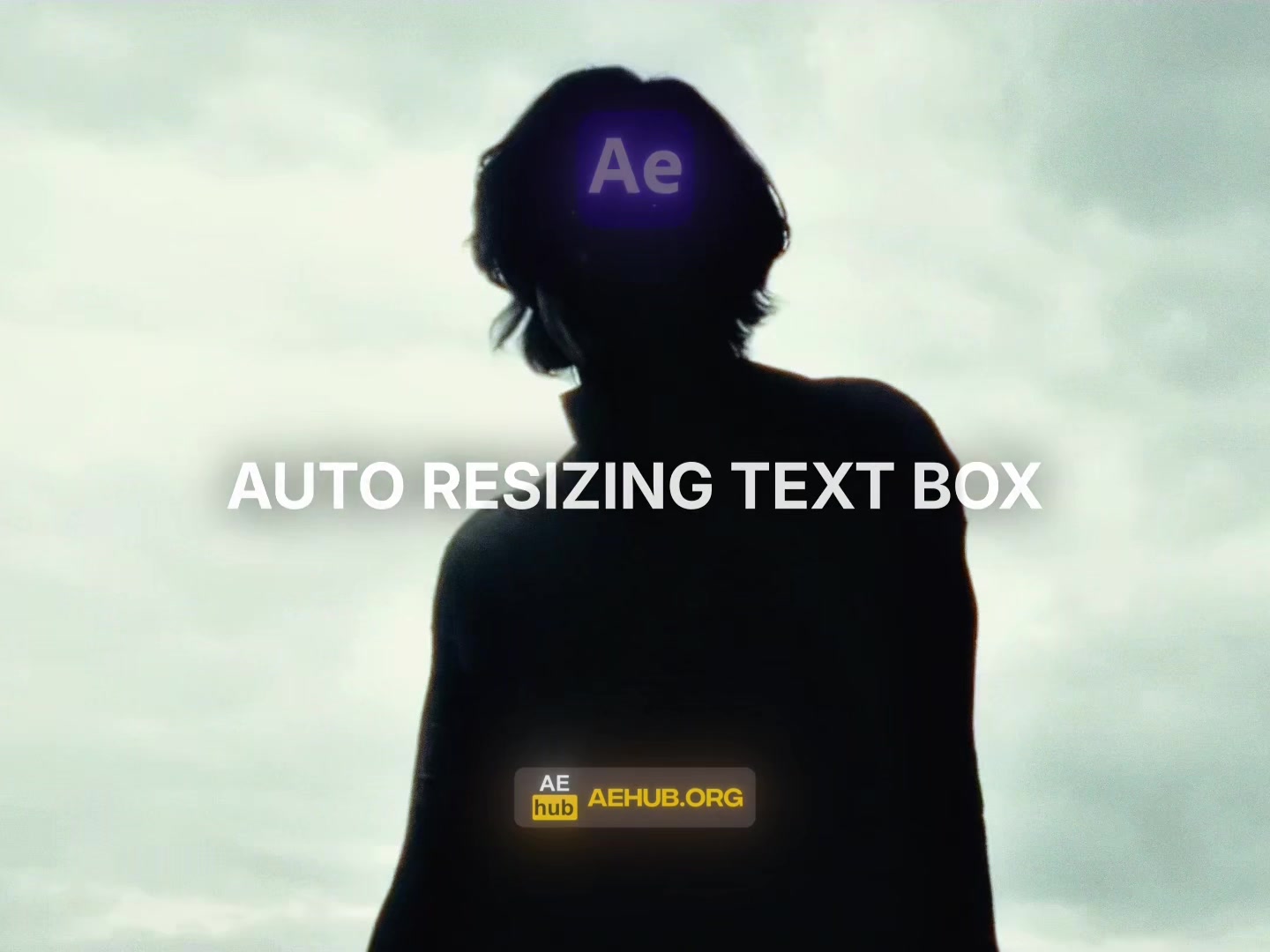 @Aehub