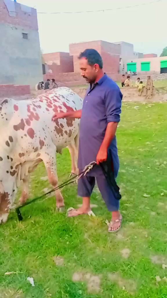 @Faheem kaka
