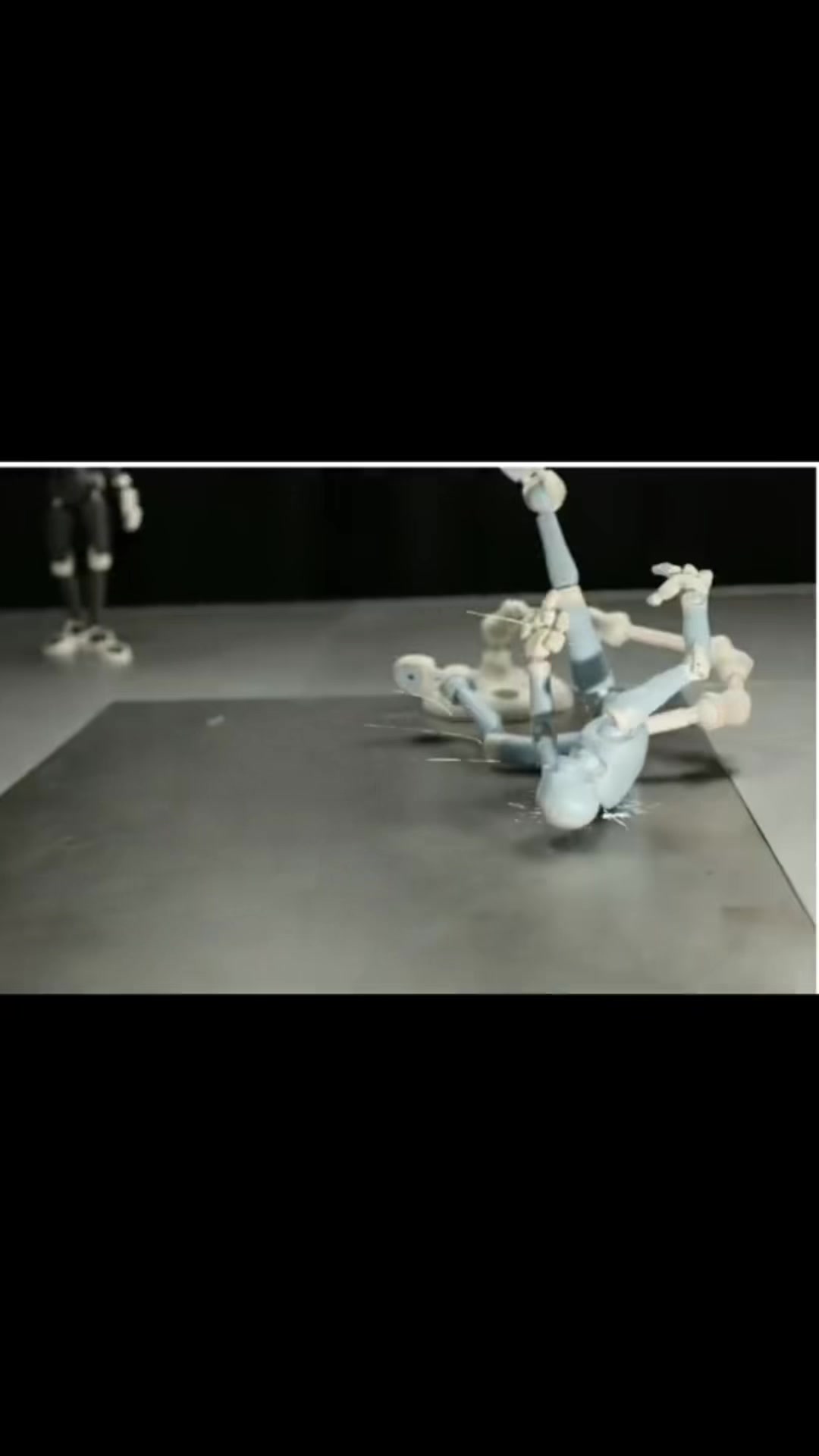@fiascostopmotion