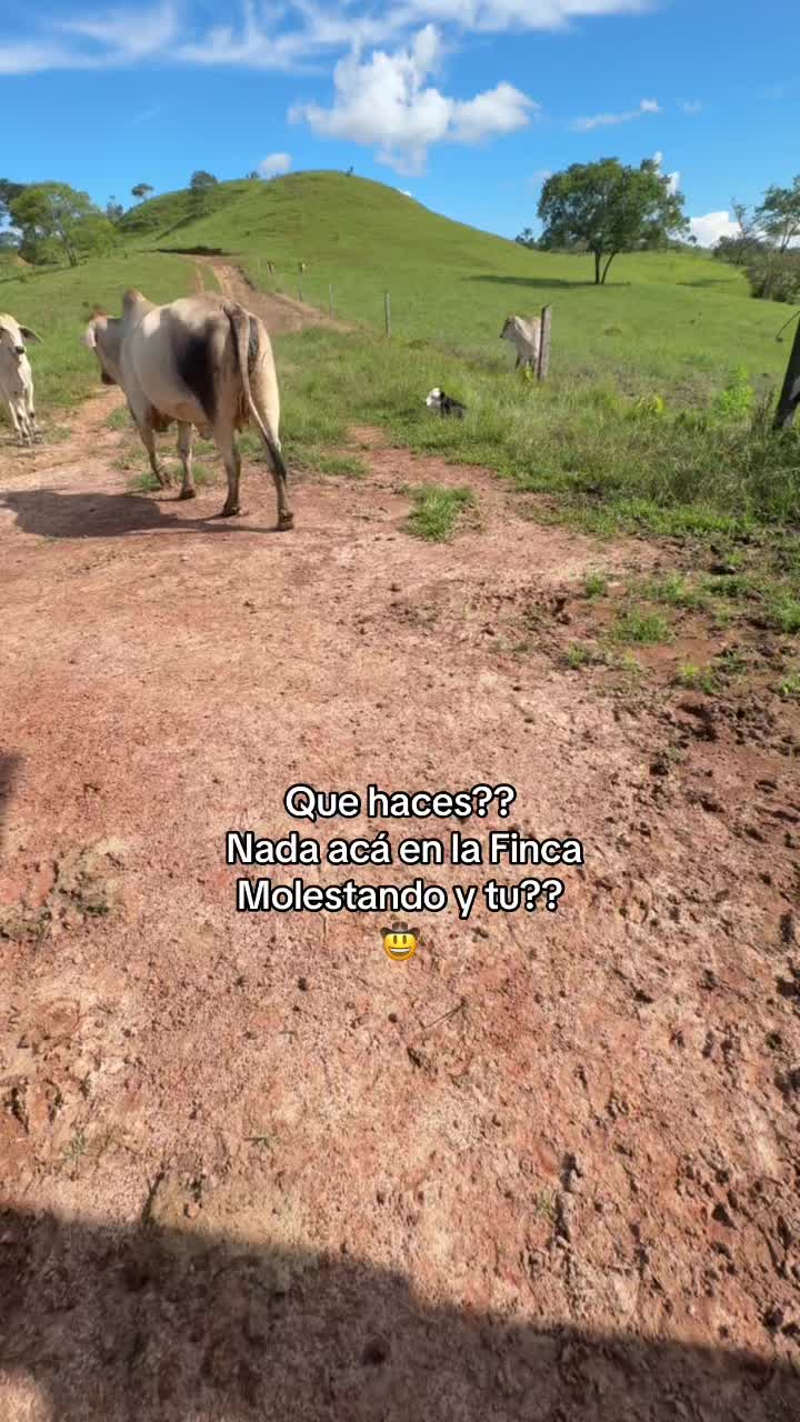 @Didier_🤠
