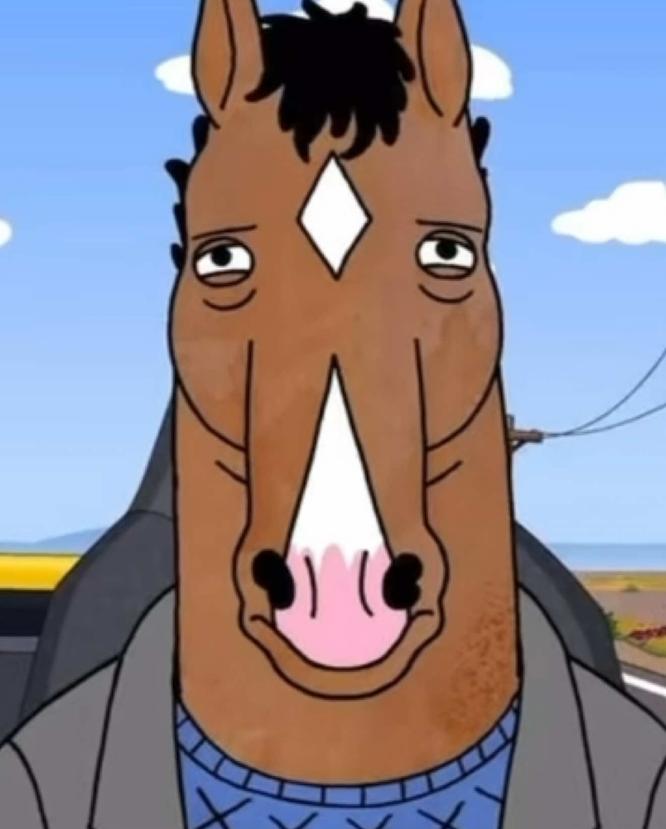 @Bojack clipz