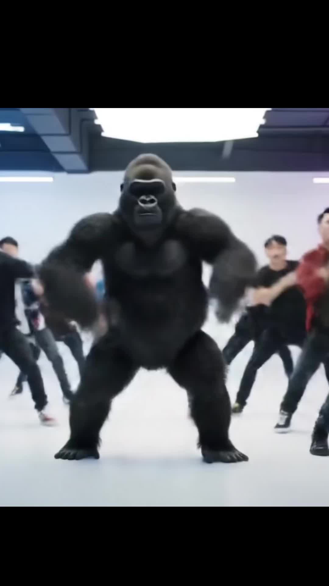@Bunny&rsquo;s Assistant