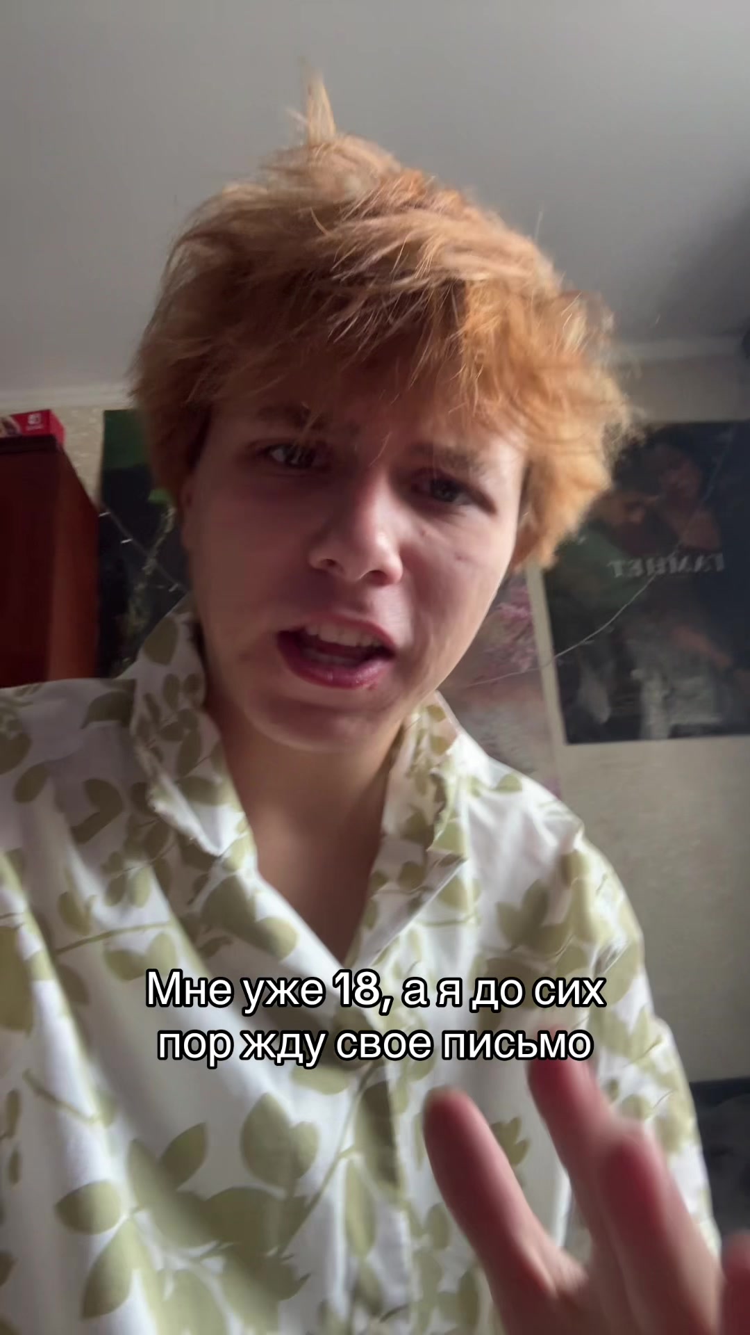 @ведмідь
