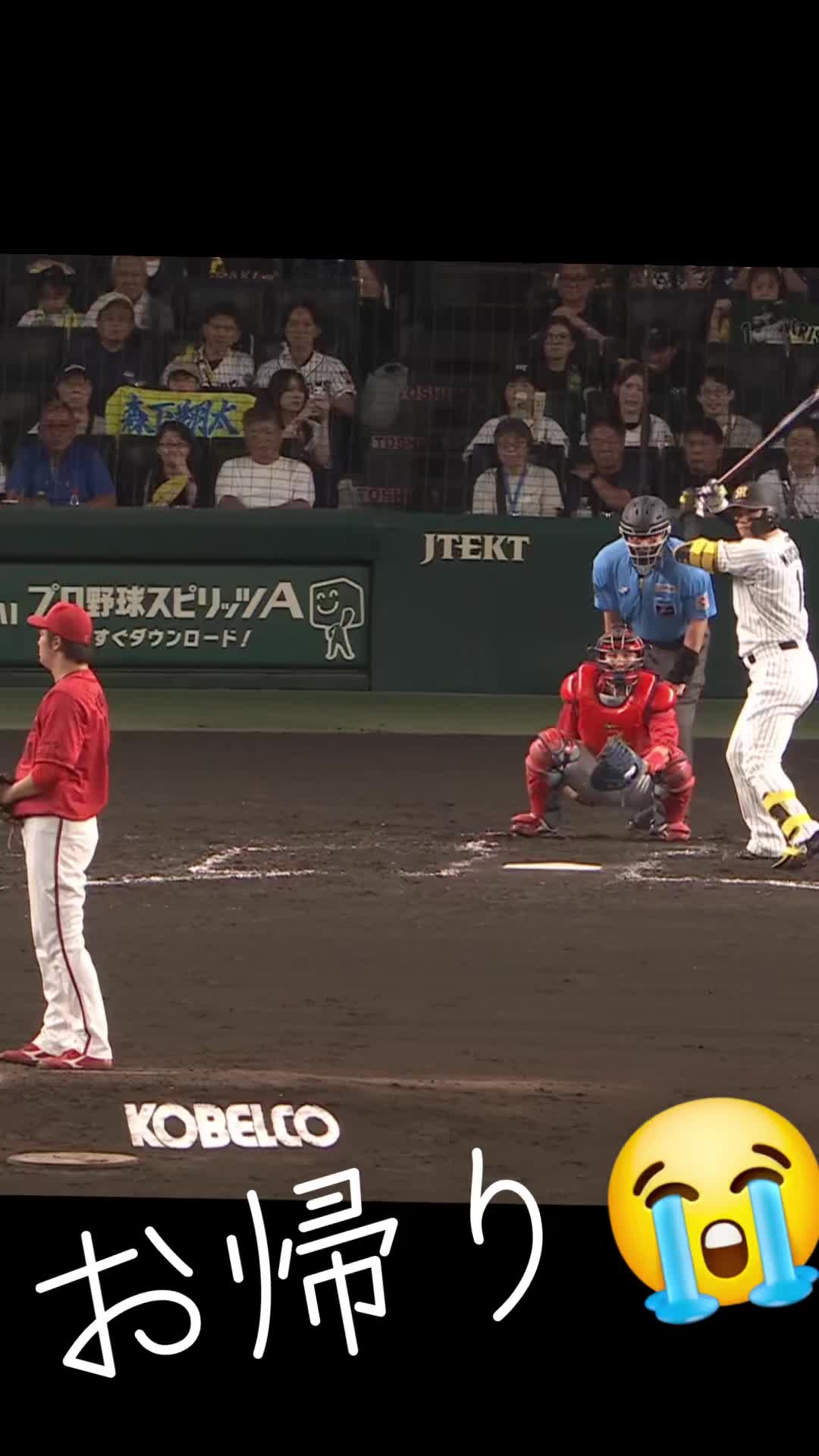 @🍑🐯トライダー🐯🍑
