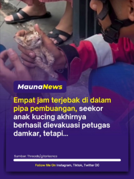 @MaunaNews
