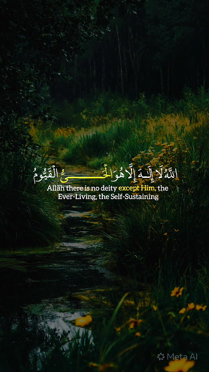 @محمد | Mohamed ✓