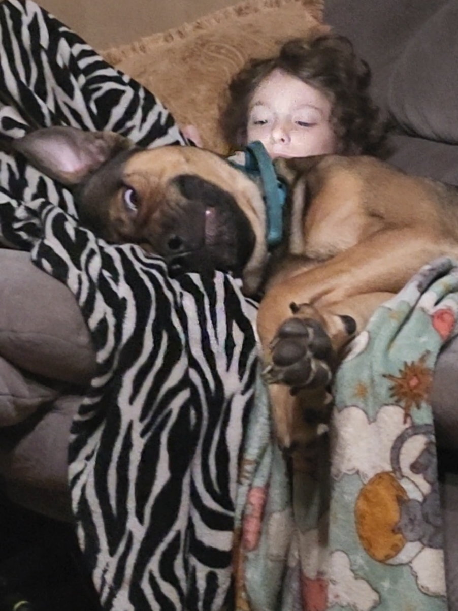 @Ahyoka 🪶