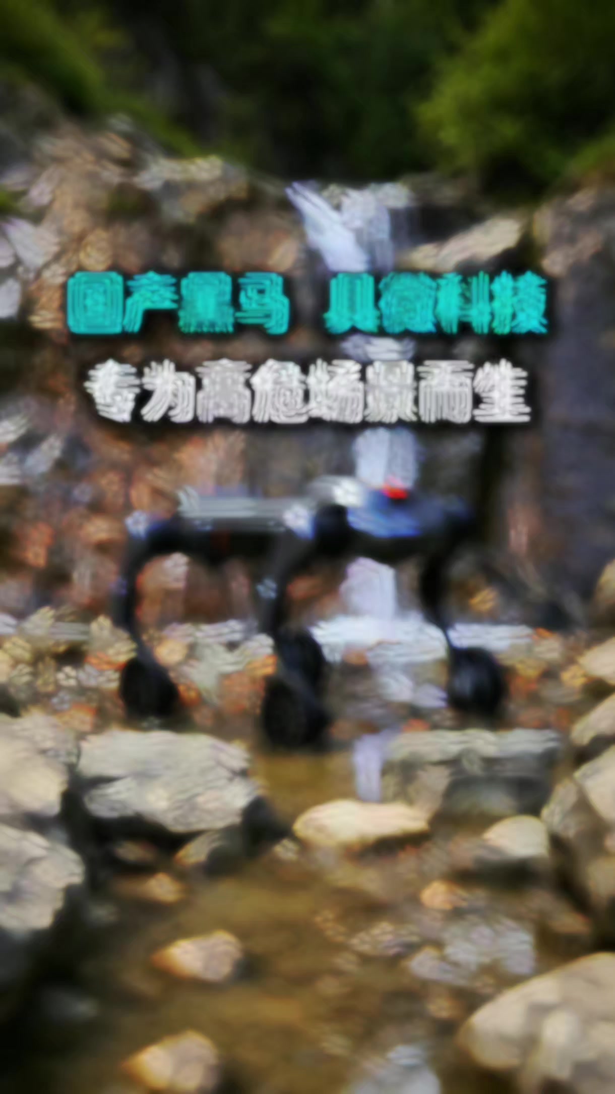 @張威