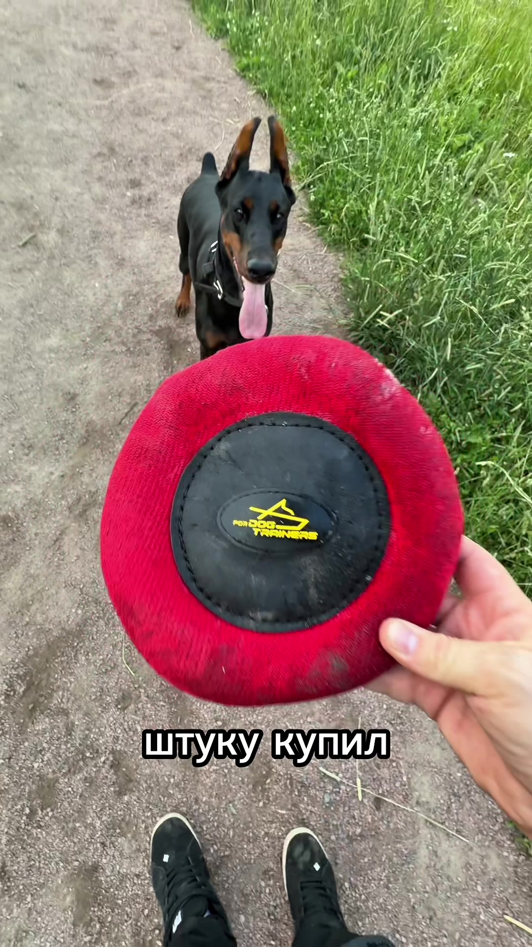 @Djudi_Doberman