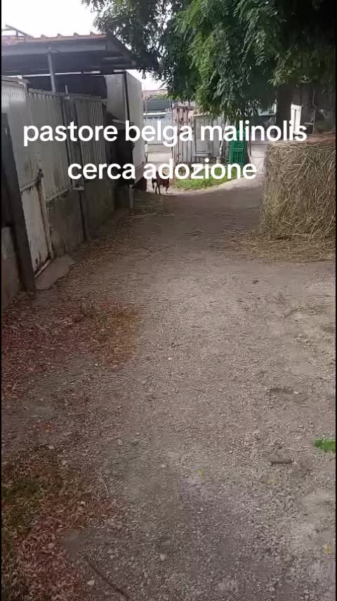 @protezione civile 🍀