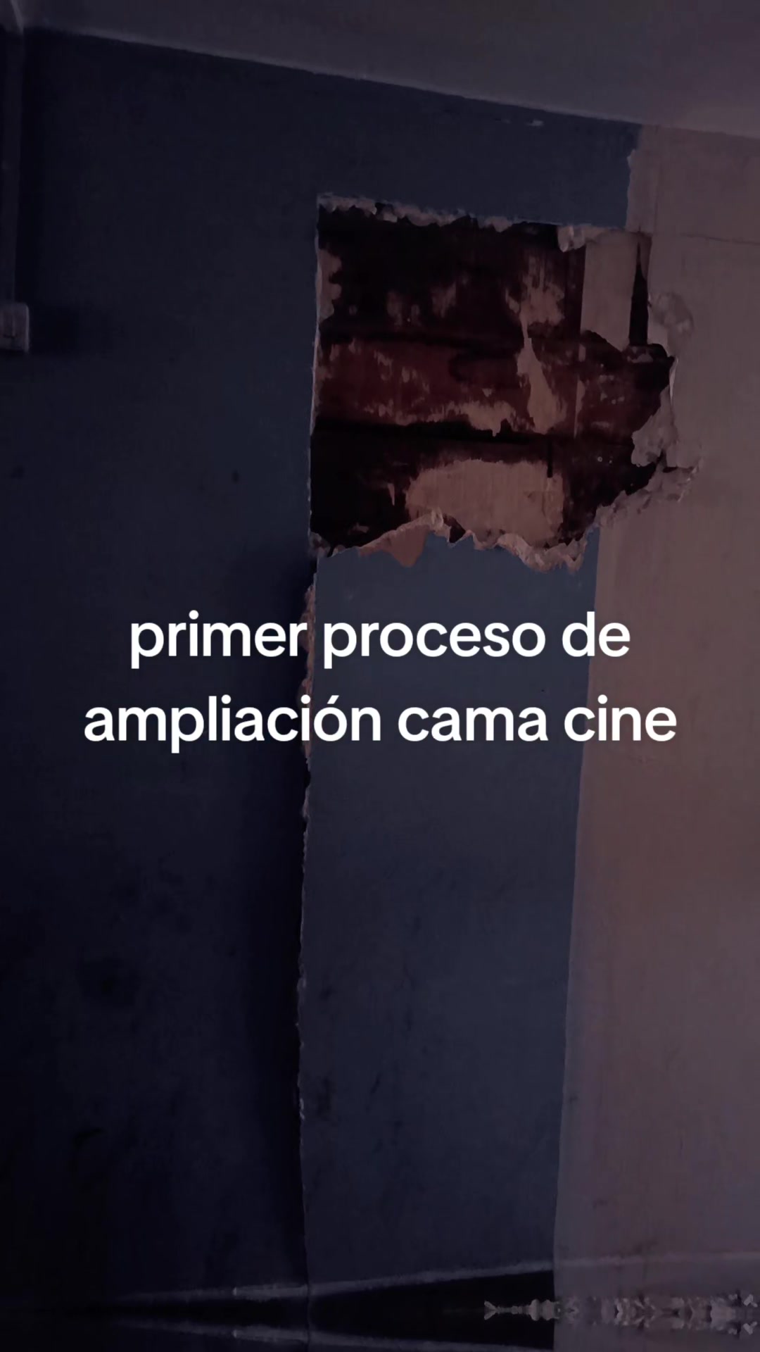 @educine91@gmail.com