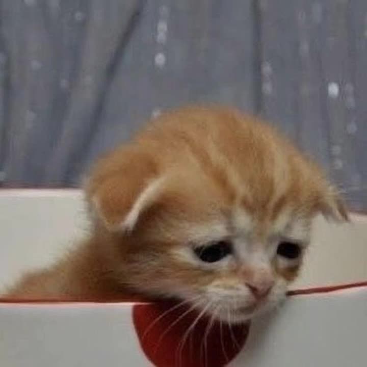 @kolpii🥽💤🐙