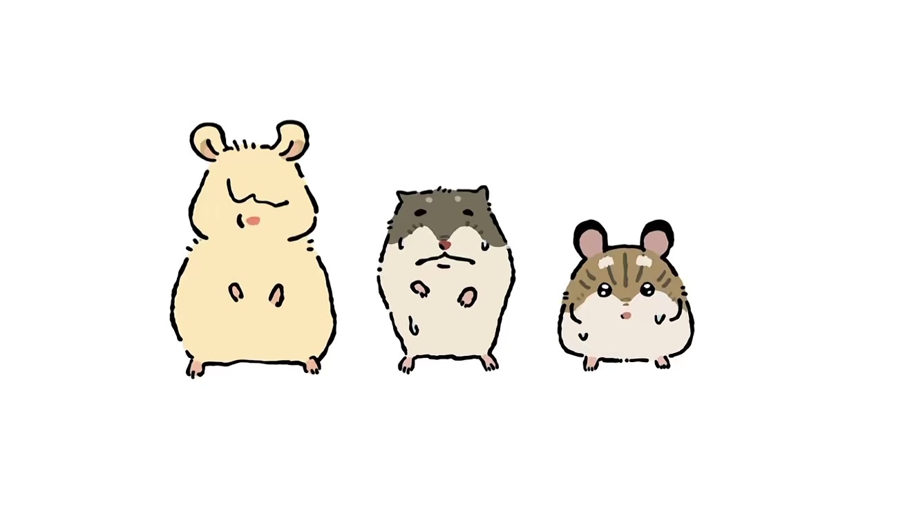 @chips.hamster