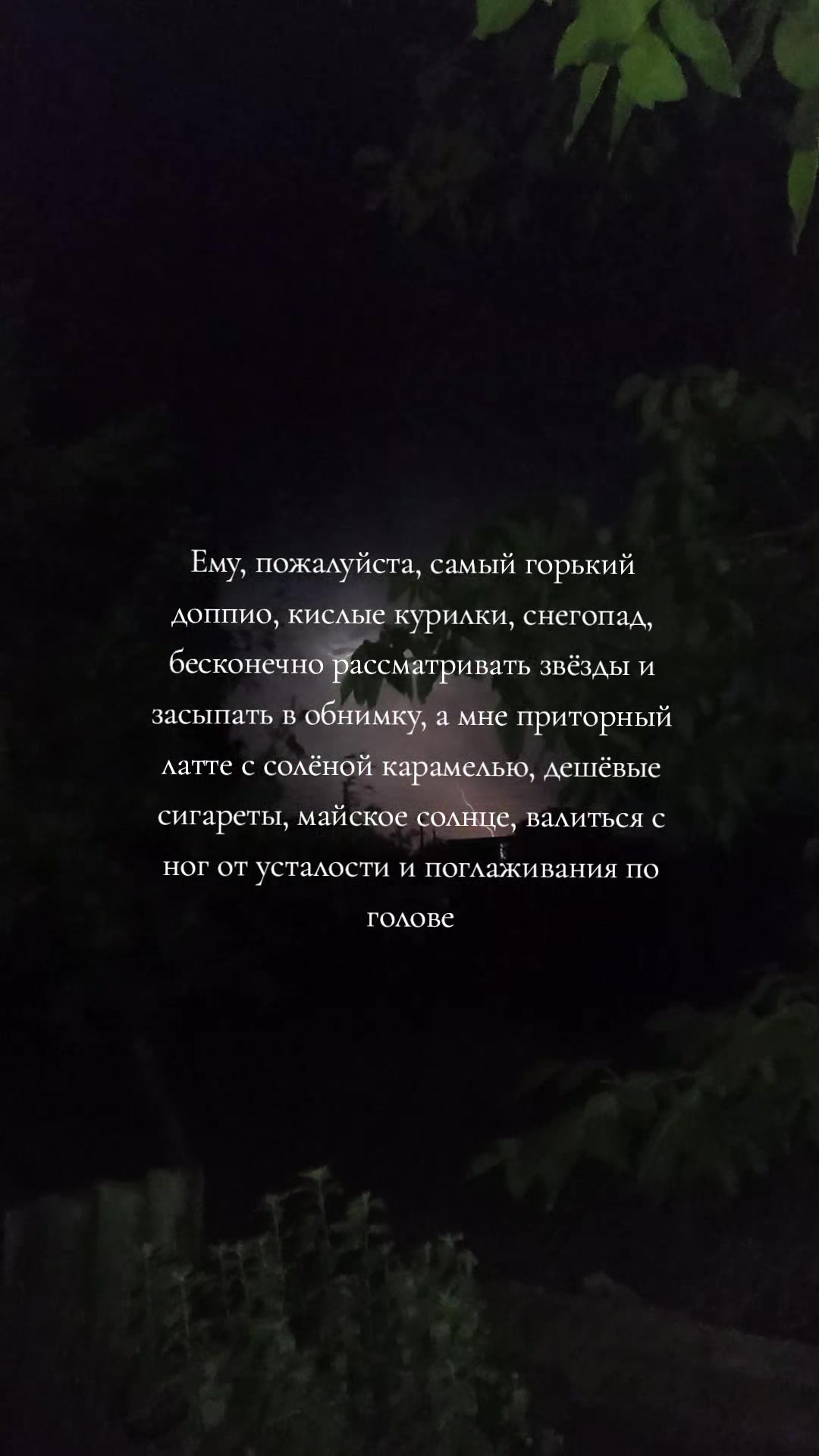 @✨mała wiewi&oacute;rka✨