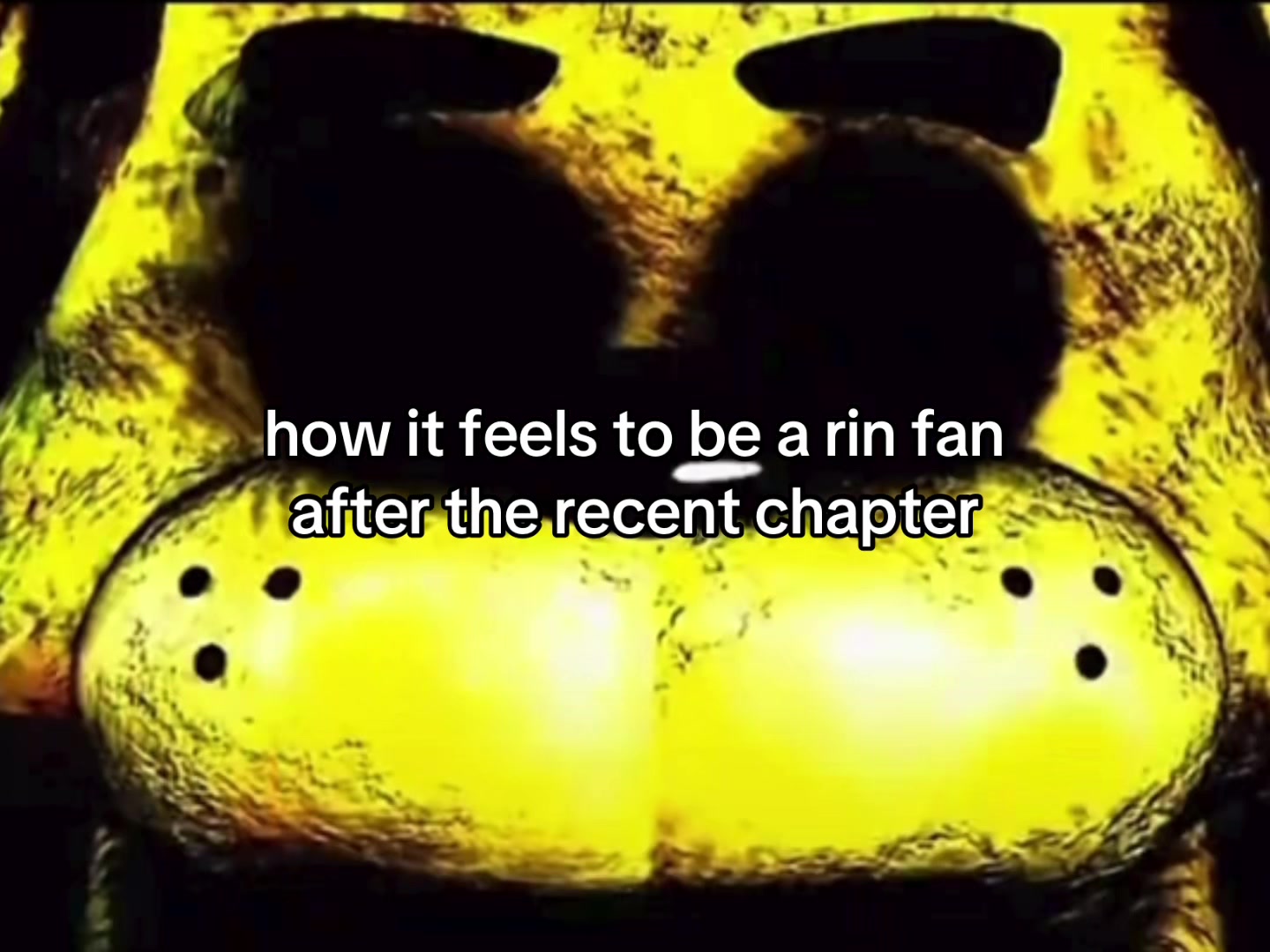 @liz ❦