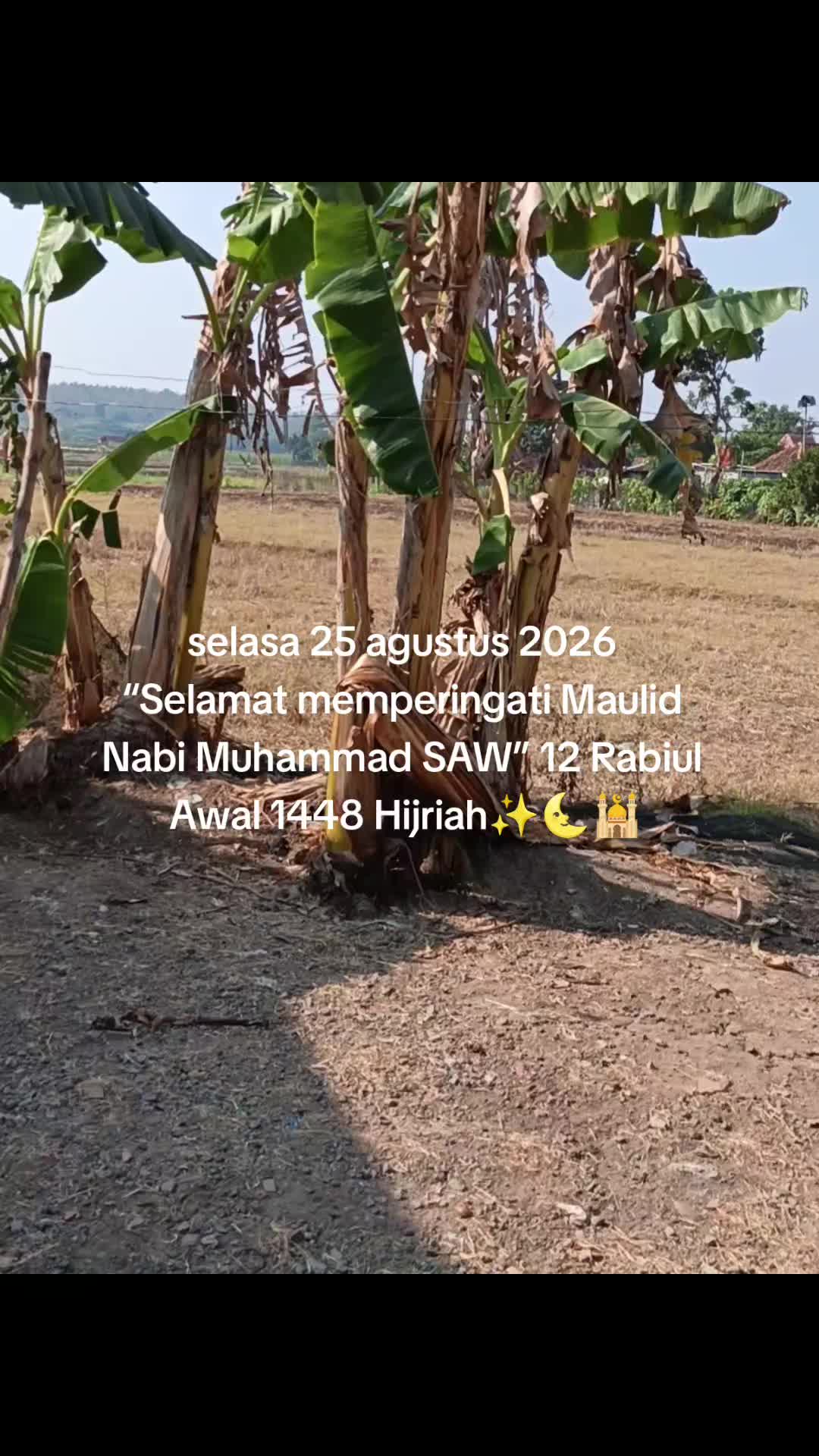 @ꪑꪖ᭙ꪖꪀ⚡