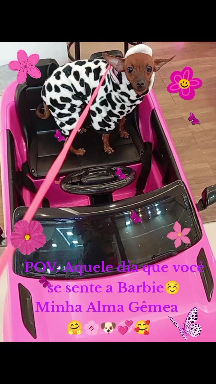 @🇧🇷BÁRBARA⚓