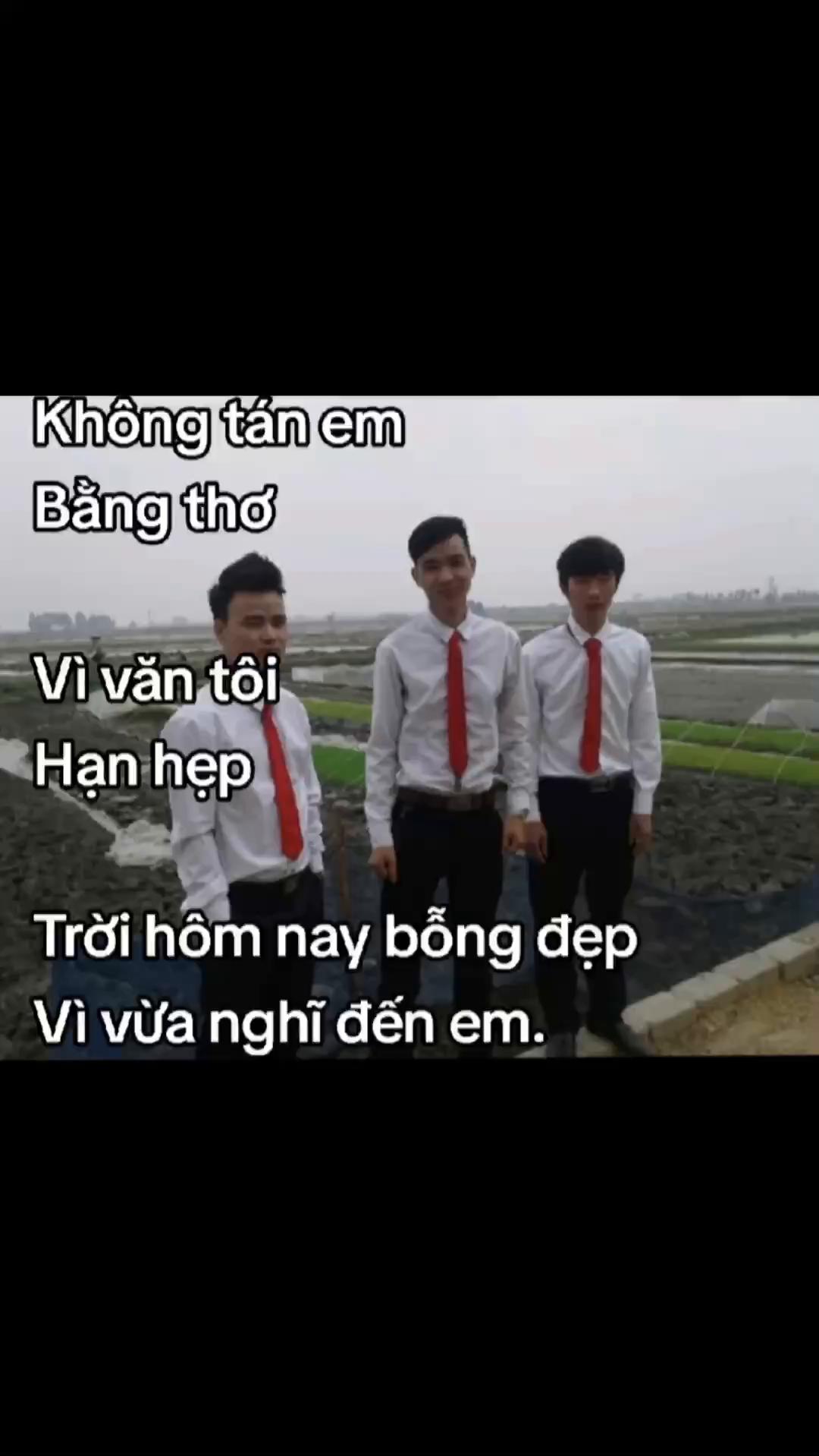 @chai pản mèo