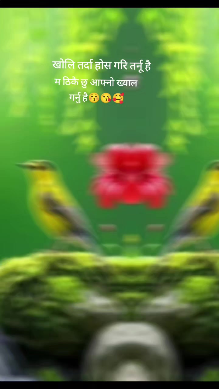 @dhakalbhujel789