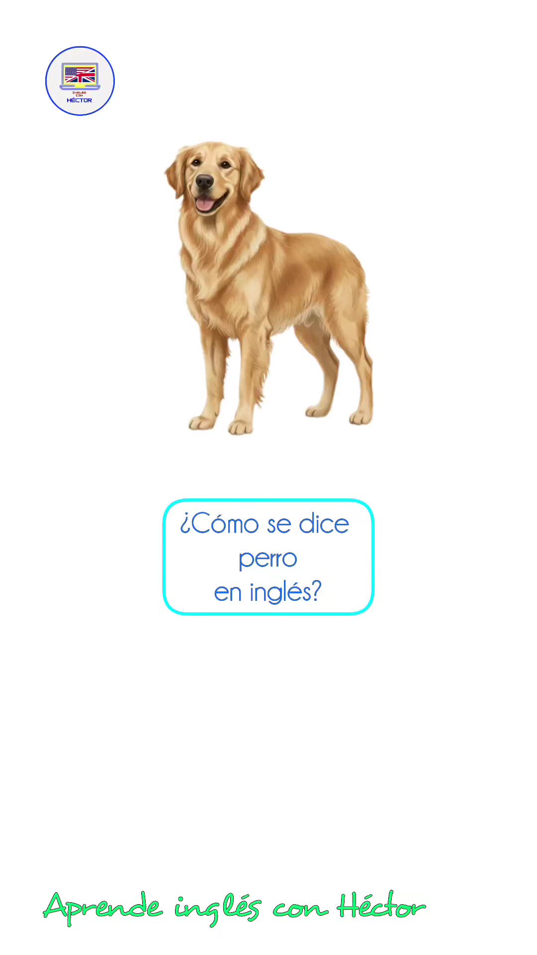 @Aprende inglés con Héctor