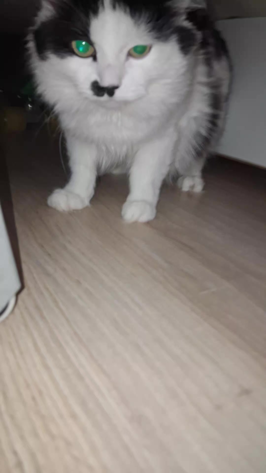 @Амурчик