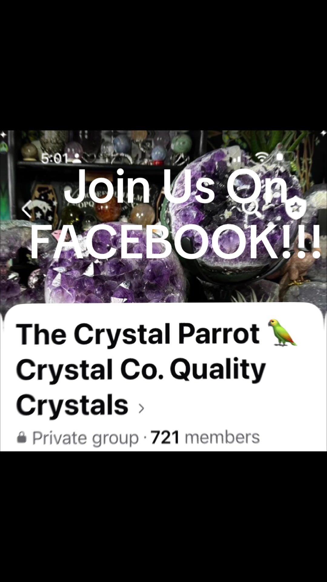 @The Crystal Parrot Crystals
